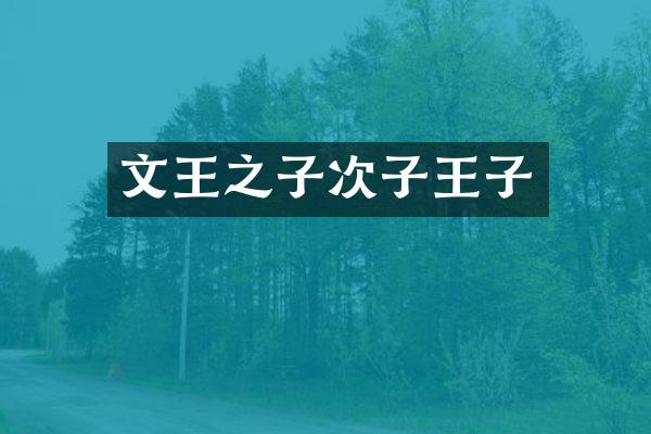 文王之子次子王子
