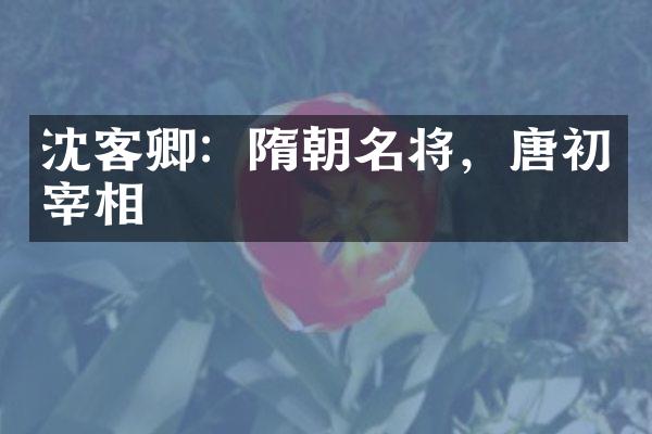 沈客卿：隋朝名将，唐初宰相