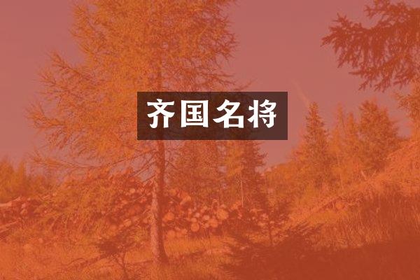 齐国名将