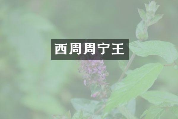 西周周宁王