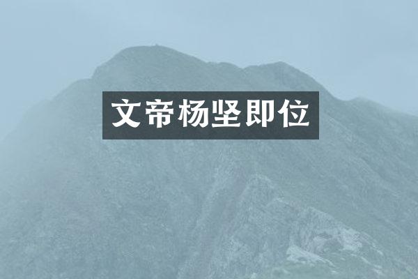 文帝杨坚即位