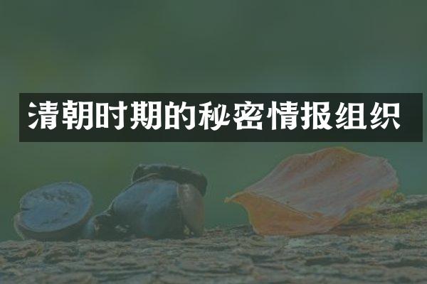 清朝时期的秘密情报组织