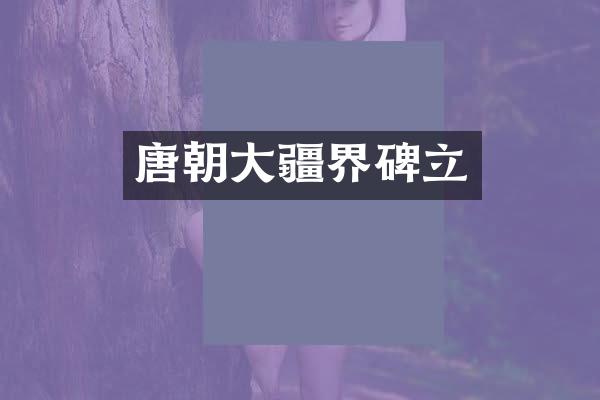 唐朝大疆界碑立