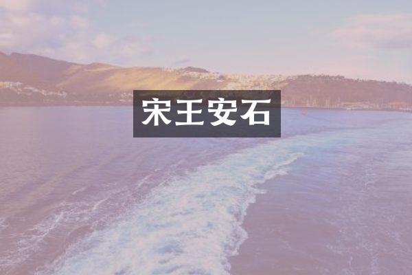 宋王安石
