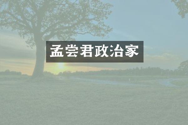 孟尝君政治家