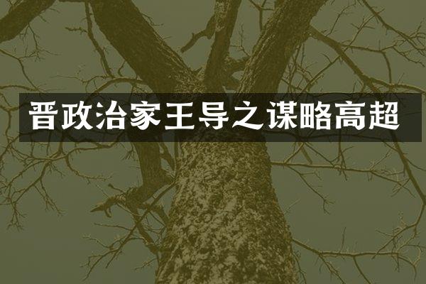 晋政治家王导之谋略高超