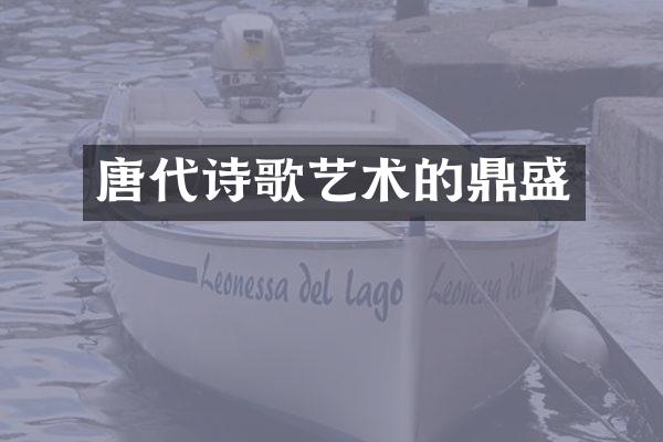 唐代诗歌艺术的鼎盛