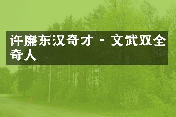 许廉东汉奇才 - 文武双全奇人