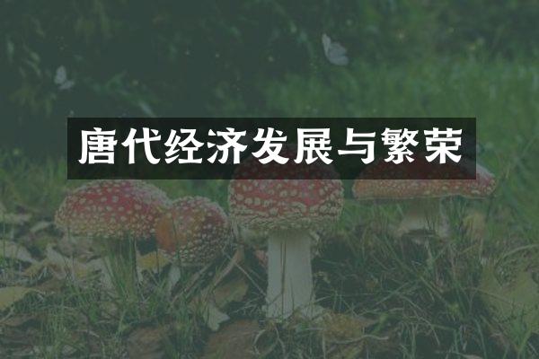 唐代经济发展与繁荣