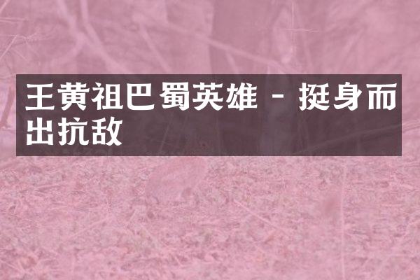 王黄祖巴蜀英雄 - 挺身而出抗敌