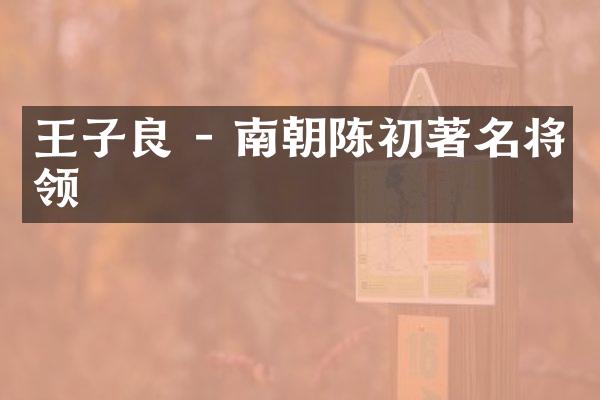 王子良 - 南朝陈初著名将领