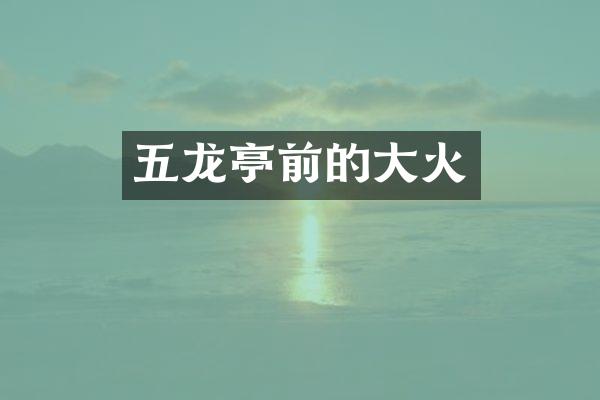 五龙亭前的大火