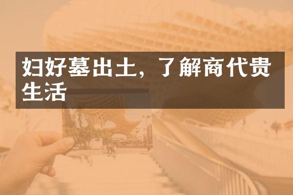 妇好墓出土, 了解商代贵族生活
