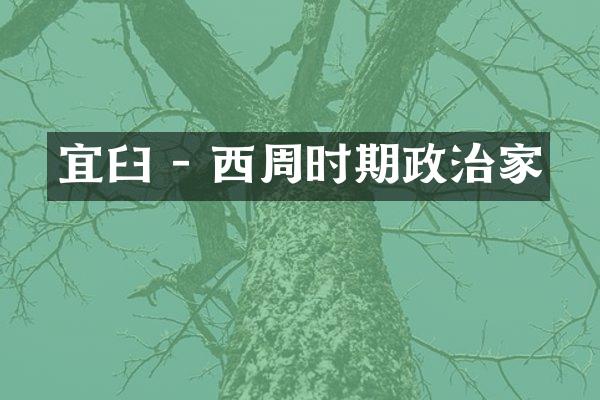 宜臼 - 西周时期政治家