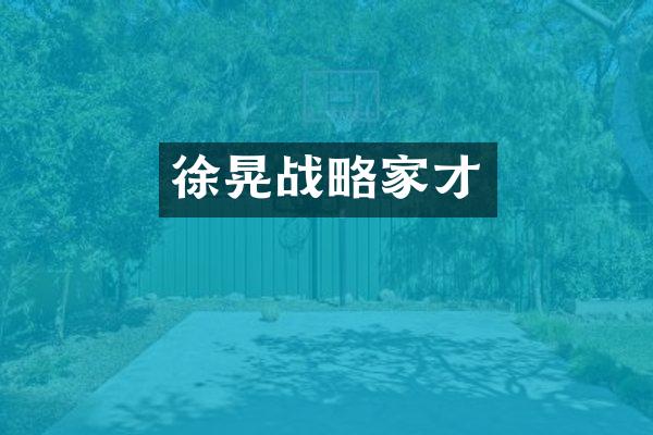 徐晃战略家才