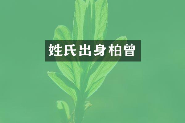 姓氏出身柏曾