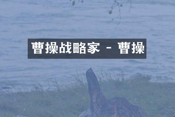 曹操战略家 - 曹操