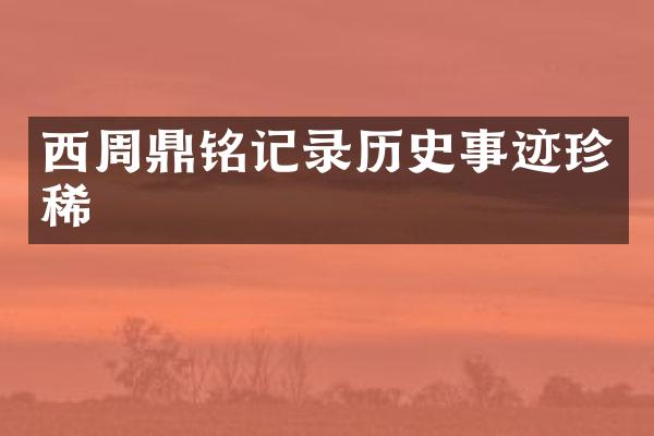 西周鼎铭记录历史事迹珍稀