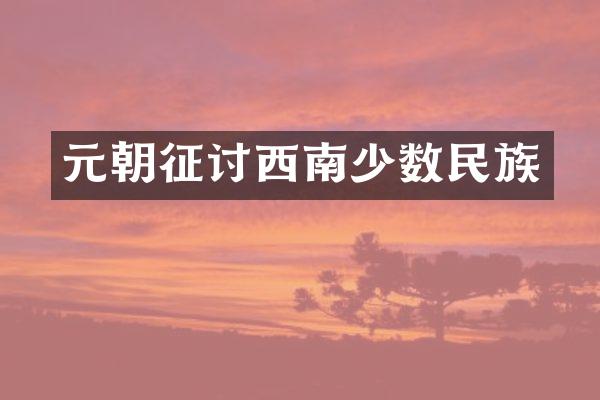 元朝征讨西南少数民族