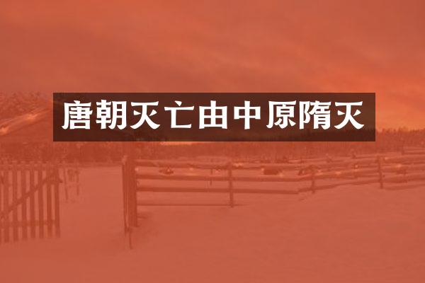 唐朝灭亡由中原隋灭