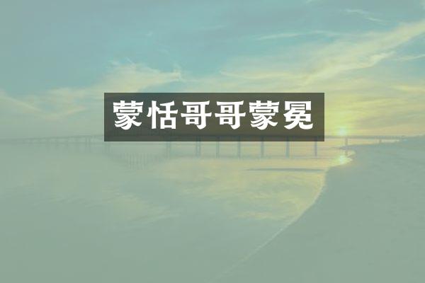 蒙恬哥哥蒙冕
