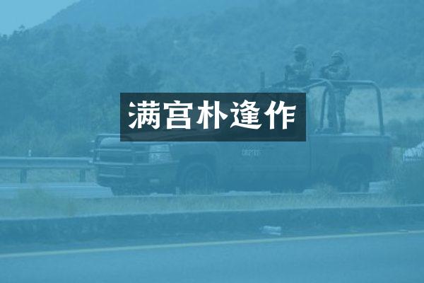 满宫朴逢作