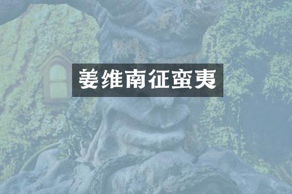 姜维南征蛮夷