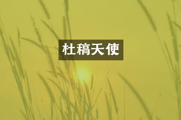 杜稿天使