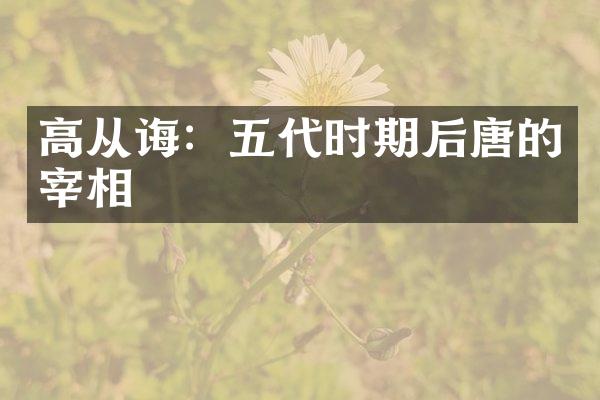 高从诲：五代时期后唐的宰相