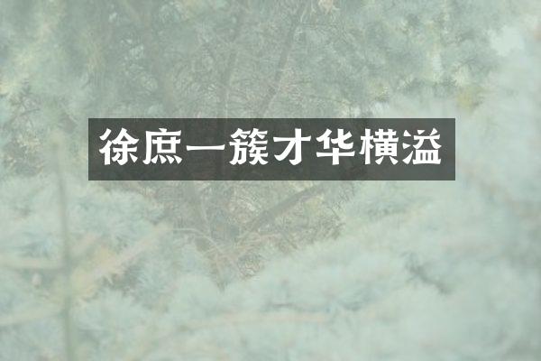 徐庶一簇才华横溢