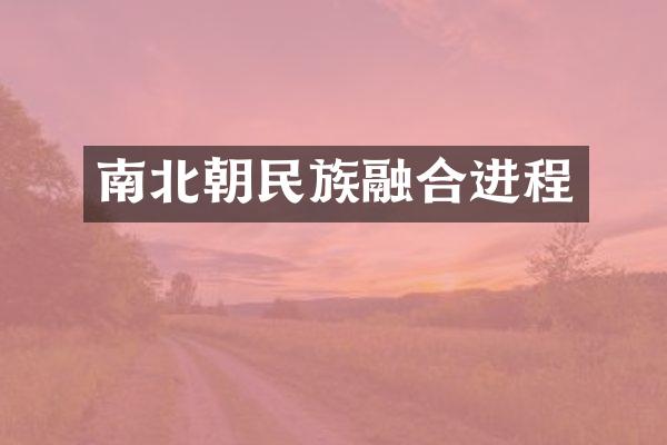 南北朝民族融合进程