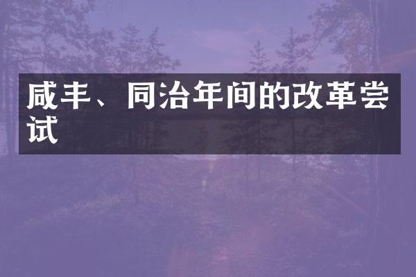 咸丰、同治年间的改革尝试