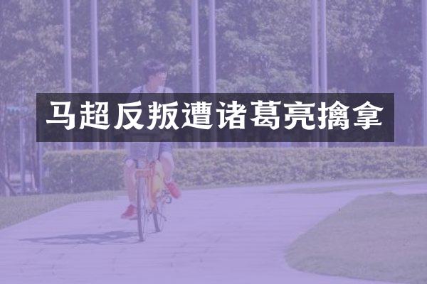 马超反叛遭诸葛亮擒拿