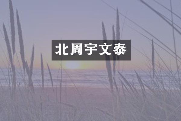 北周宇文泰
