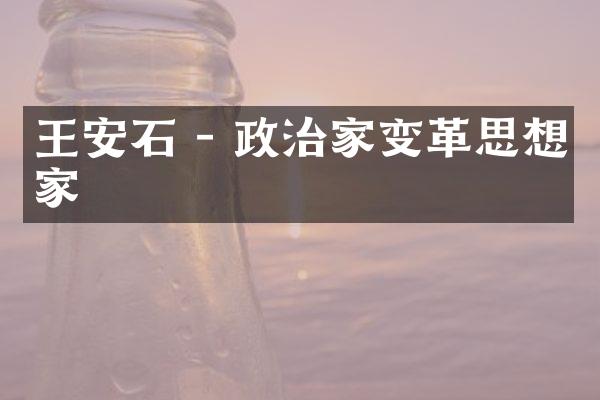 王安石 - 政治家变革思想家