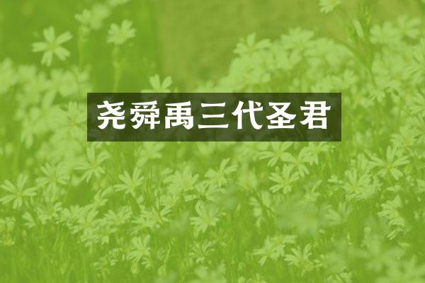 尧舜禹三代圣君