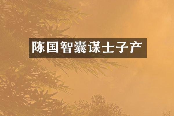 陈国智囊谋士子产