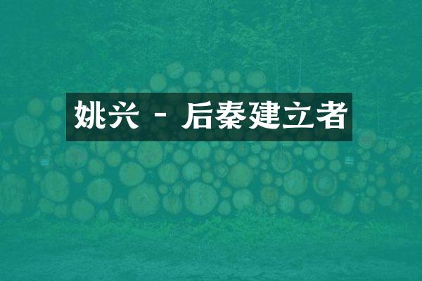 姚兴 - 后秦建立者