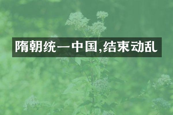 隋朝统一中国,结束动乱