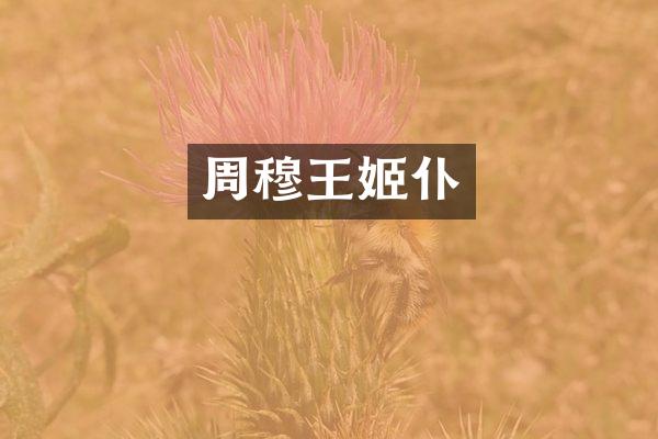 周穆仆