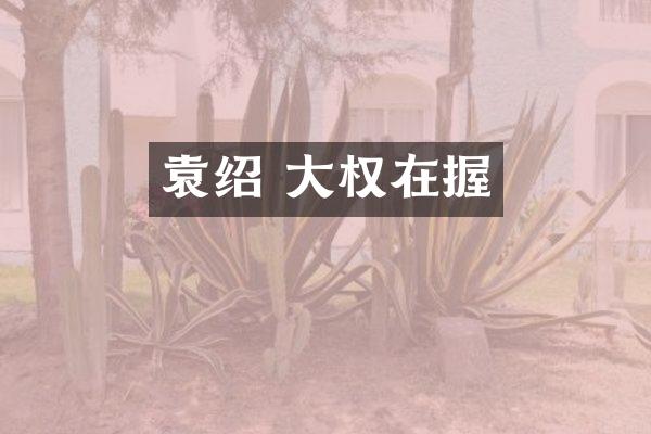 袁绍 大权在握