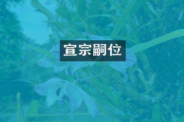 宣宗嗣位