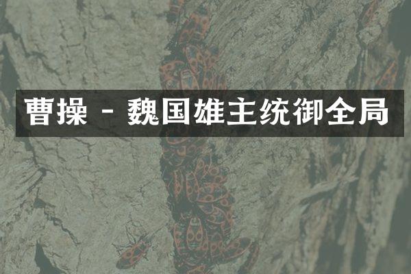 曹操 - 魏国雄主统御全局
