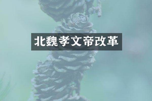 北魏孝文帝改革