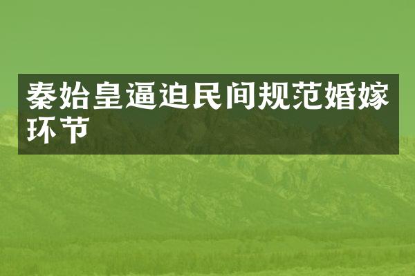 秦始皇逼迫民间规范婚嫁环节
