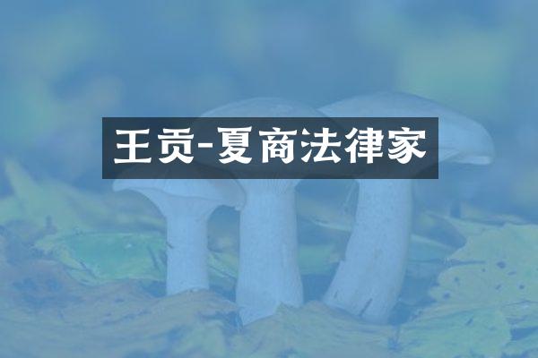 王贡-夏商法律家