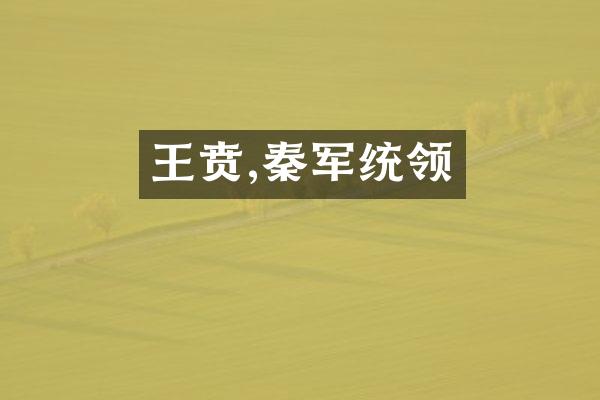 王贲,秦军统领