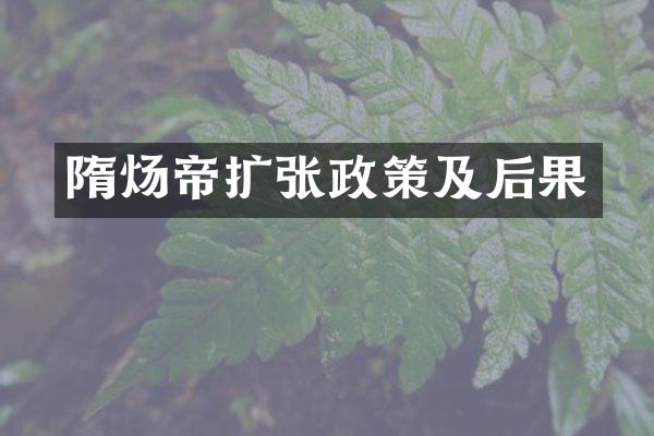 隋炀帝扩张政策及后果