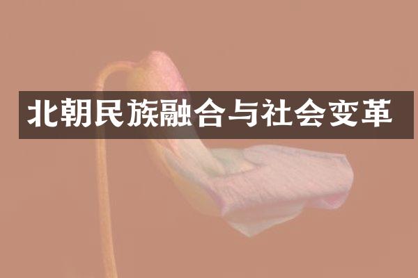 北朝民族融合与社会变革