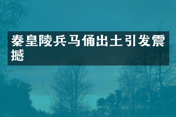 秦皇陵兵马俑出土引发震撼